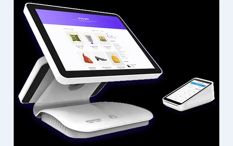 Vega POS software interface used as case-study evidence